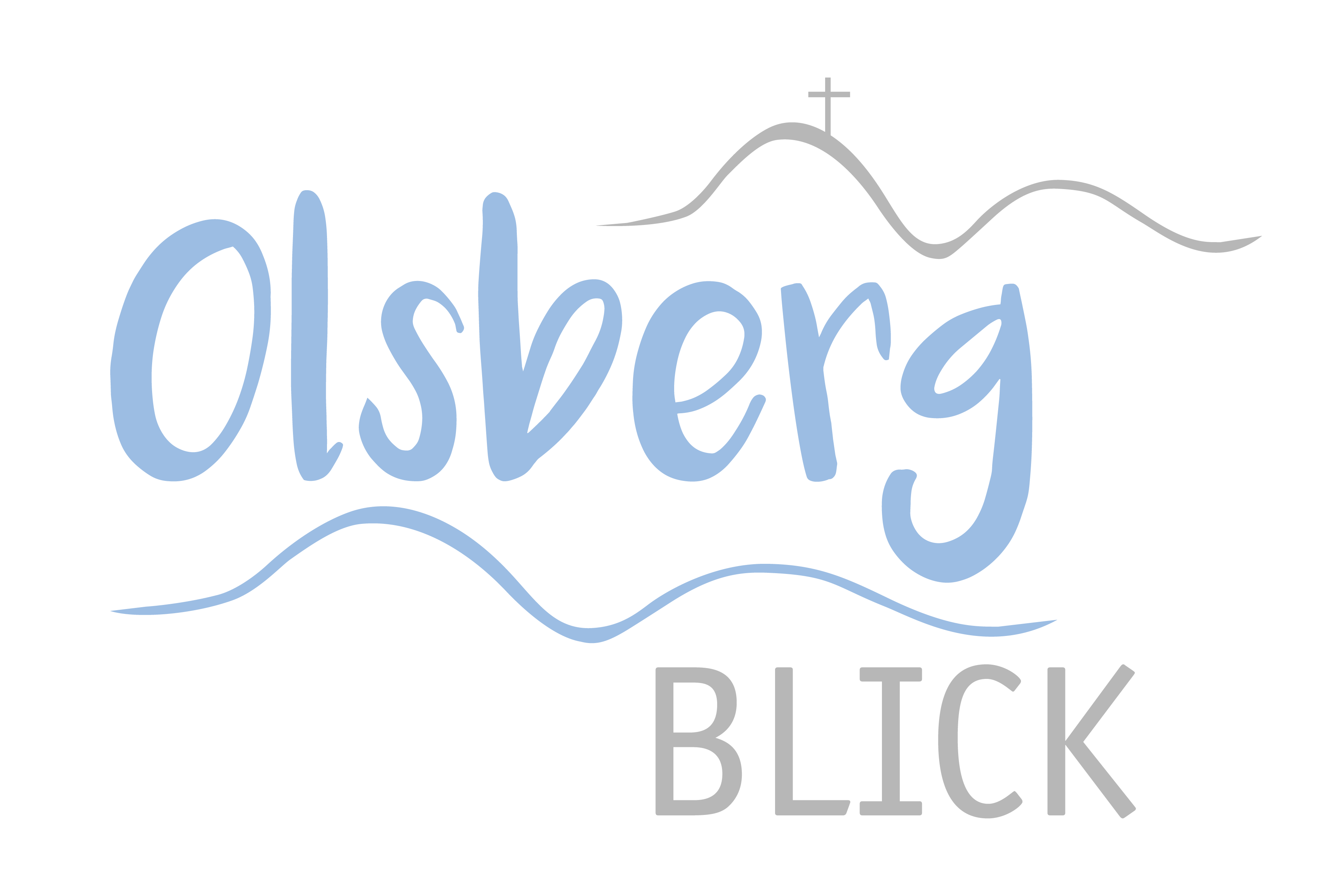 Logo Olsberg Blick